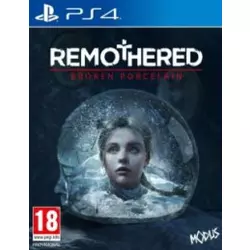 REMOTHERED BROKEN PORCELAIN