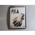 PIŁA