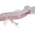 KARABIN SHOTGUN DO KONSOLI WII