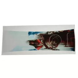NAKLEJKA XBOX 360 FAT-ASSASSIN'S CREED BROTHERHOOD