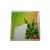 NAKLEJKA XBOX 360 SLIM-REGGAE-833