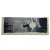 NAKLEJKA XBOX 360 SLIM-ASSASSIN'S CREED